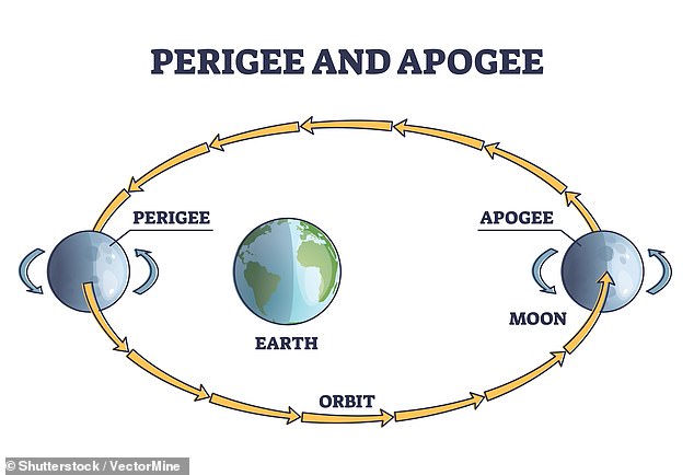 Supermoons occur when the full moon is at perigee: the point at which the moon is closest to Earth.