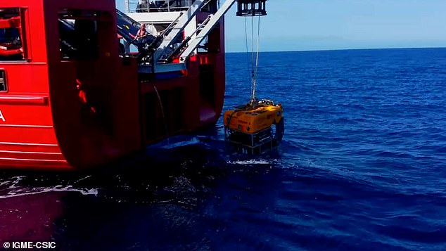 The unmanned submarine surveyed the seabed conditions between 330 and 8,200 feet (100 and 2,500 meters) depth