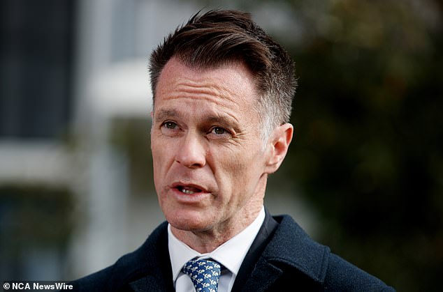 New South Wales Premier Chris Minns (pictured) said the 