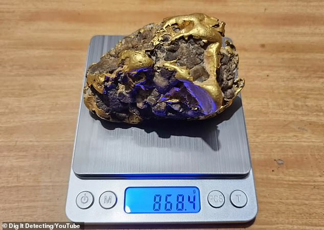 The gold nugget (pictured) is said to be worth around $100,000, given its rare size