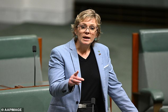 Independent MP Zali Steggall (pictured in the House of Representatives on Thursday) called Mr Dutton 'racist'