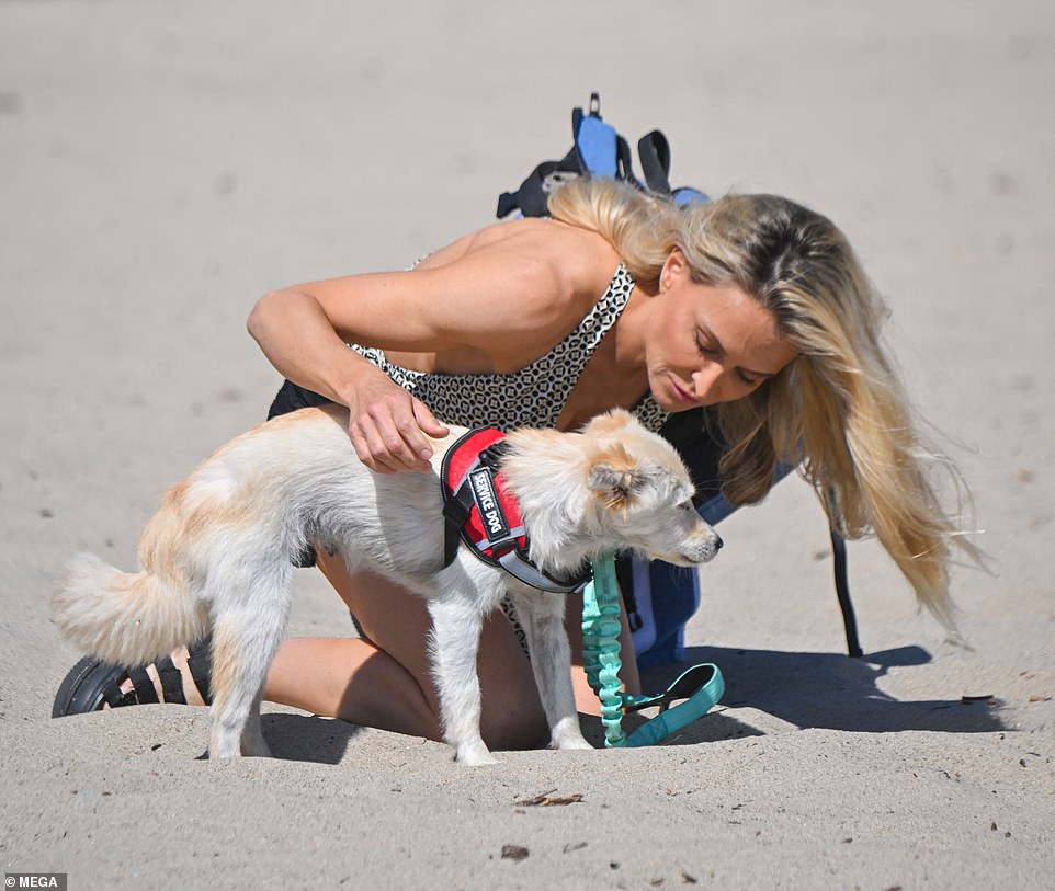 The star was very fond of her rescue dog named Kayla; the dog wore a service dog harness