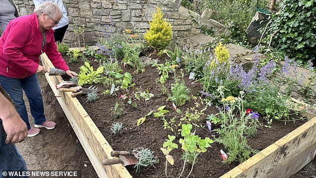 The bed was planted in preparation for Britain in Bloom and in partnership with the village's Conservation Group and the Community Council Biodiversity Project