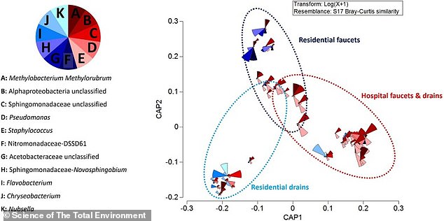 Researchers from Flinders University have warned that washbasins are 'hotspots' for dangerous microbes. Disgustingly, this includes bugs that can cause diseases such as pneumonia, Legionnaires' disease and wound infections.