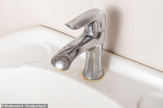 The researchers analyzed the 'biofilms' in sinks in both hospitals and nursing homes. A biofilm is the slimy substance found on drains and around the faucet of sinks (stock image)