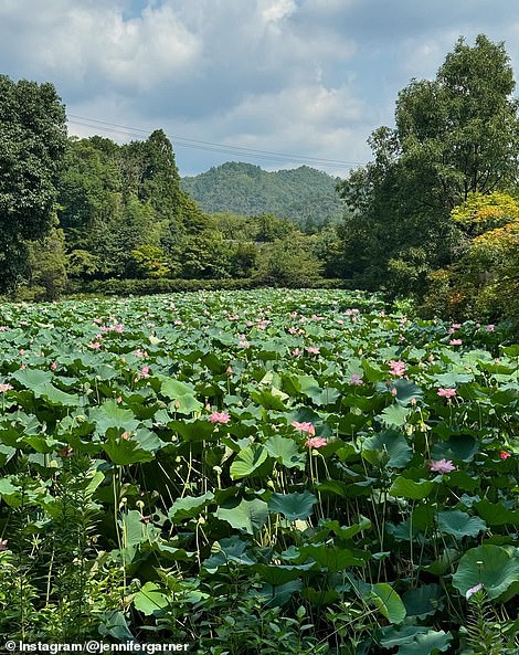 There was another natural scene with lotus flowers: 'No mud, no lotus'