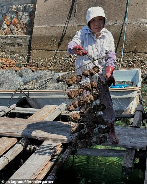 An oyster farmer