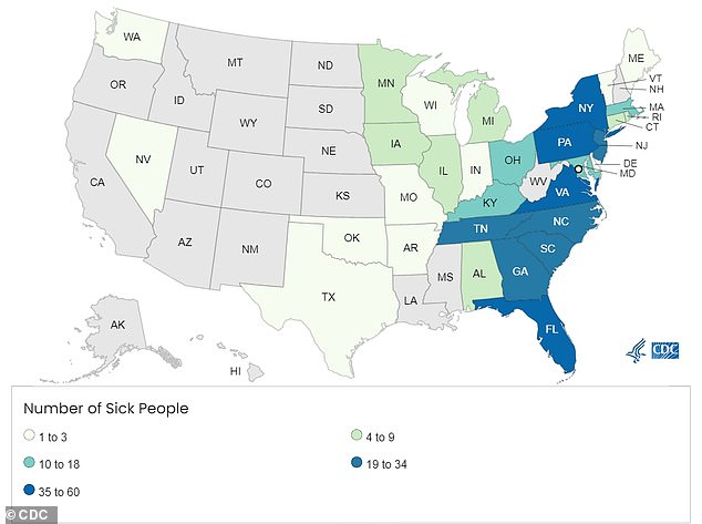 1723841923 982 Urgent Cucumber Recall in Dozens of States Due to Massive