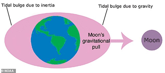 As the moon orbits the Earth, gravity pulls on the ocean, creating bulges around the center of the Earth. This is partly what slows the Earth's rotation.