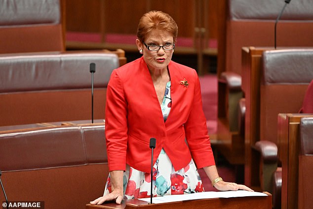 Senator Pauline Hanson, leader of One Nation, said she was opposed to the new verification tool, calling it a 