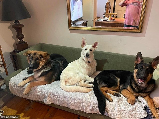 Syko (center) the German Shepherd is known to have attacked at least five dogs