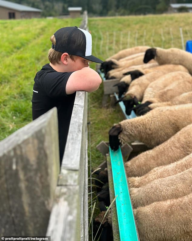 He also shared a photo of Jack watching a herd of goats eating from a trough