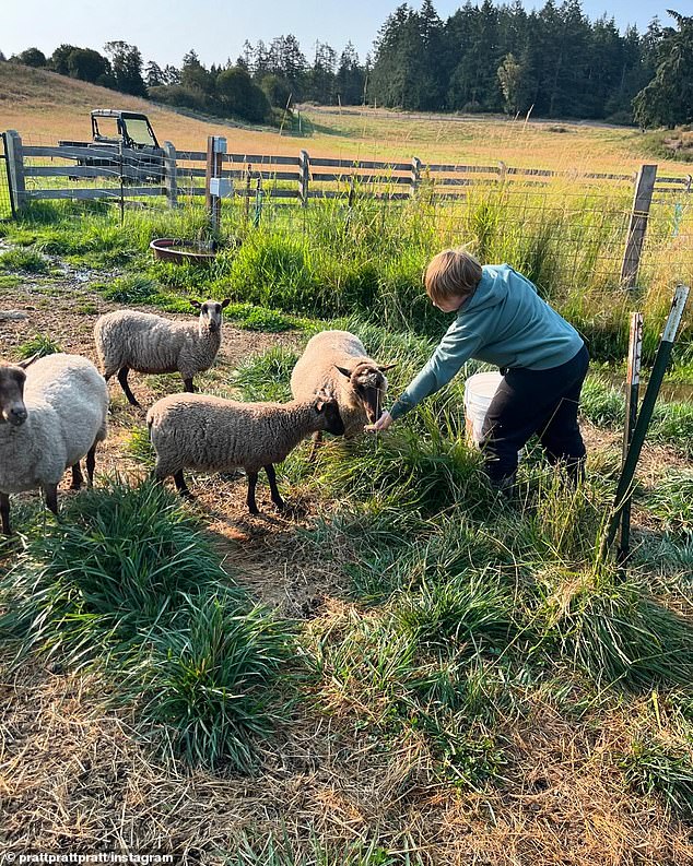 They also spent the day feeding sheep, as seen in another adorable photo of Jack