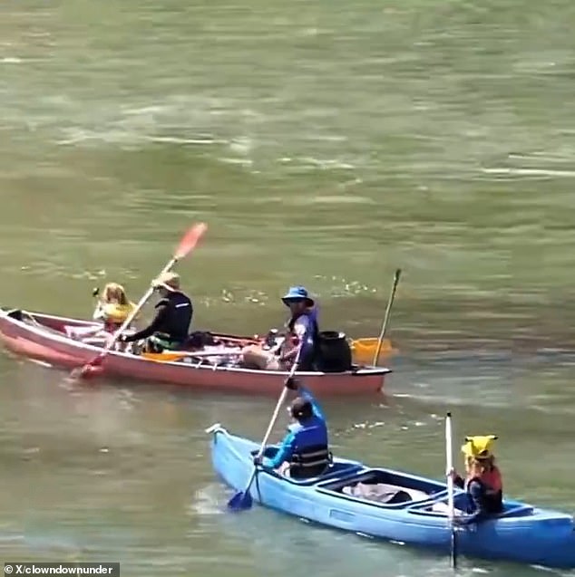 The groups were seen canoeing in the water several meters away