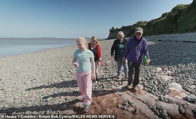 Palaeontologist Cindy Howells from the National Museum Wales examined the tracks left in the rock and said she was 'pretty confident they were real dinosaur prints'