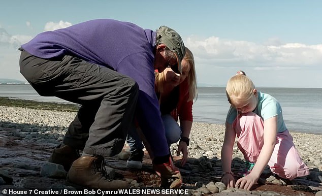 Bones of similar dinosaurs were found across the Bristol Channel