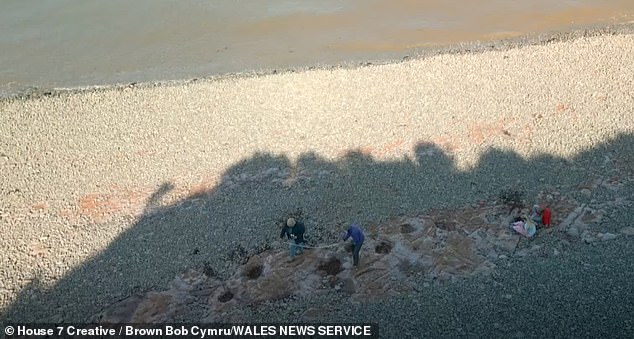 The stretch of coastline is a favorite with fossil hunters and is close to where four-year-old Lily Wilder found a perfectly preserved footprint in 2021.