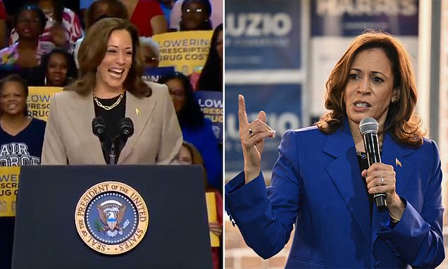 1724071599 963 Trumps political director jumps on disturbing claim about Kamala Harris