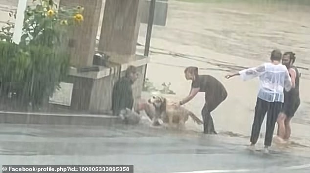 Later footage from the rescue in Southbury, Connecticut shows the driver, the dog and the man who rescued them together on dry land