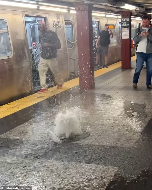 The subway system has also been hit by floodwaters, even breaking through grates in the ground near Penn Station in downtown New York City.