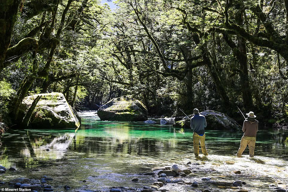 Minaret Station offers wilderness fishing trips and horseback riding tours on the farm