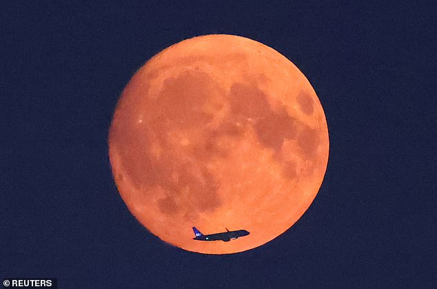 When smoke in the atmosphere scatters the light from the moon, it takes on a striking red hue. Pictured, the moon seen last night from Parliament Hill, London