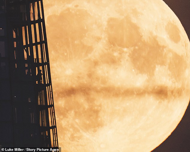 If you miss the blue supermoon over the next three days, the next chance to see one will be in 2037. Pictured here is a blue moon rising over the Shard in London on Saturday