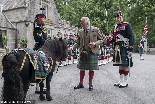 The King is pictured sharing a sweet moment with the Shetland pony Cruachan IV (pictured), the mascot of the Royal Regiment of Scotland