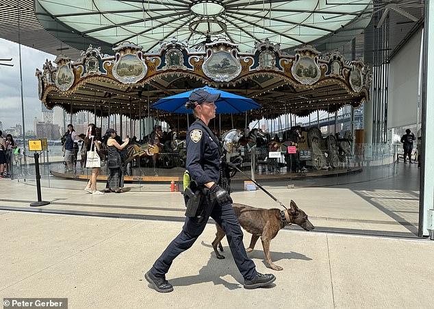 It was located just a few yards away from the iconic Jane's Carousel, which was built in 1922 and donated to the park in 2011 after years of restoration