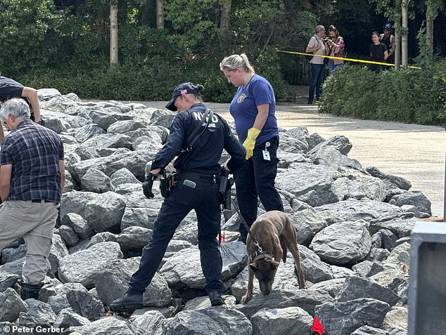 Members of the Office of the Chief Medical Examiner and the NYPD were seen searching through the rocks for more remains