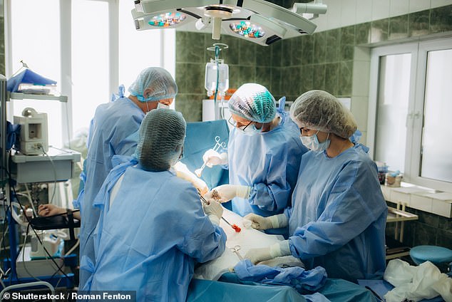 Ms Adsett, acting on behalf of the Australian Christian Lobby, claimed she had personally witnessed an increase in abortions for 'psychosocial or financial reasons' at the hospital where she works in Brisbane's south (stock photo)