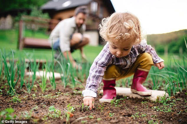 Other suggestions for students aged three to 11 include playing with shadows, digging in the dirt, kneading bread dough, recycling and playing musical instruments (stock image)