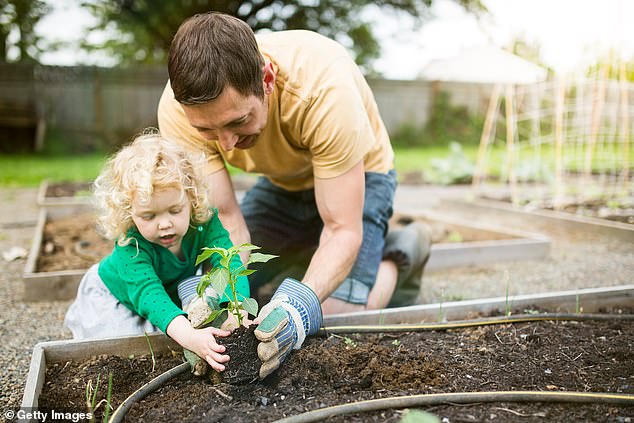 The Royal Society of Chemistry, the Institute of Physics, the Royal Society of Biology and the Association for Science Education state that children should be able to relate concepts to real life (stock image)