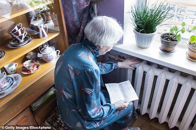 It is feared that as many as 880,000 eligible households are currently not claiming the pension scheme, which is worth an average of £3,900 a year on its own, but also opens the door to other financial help from the state (pictured: an elderly woman holding her gas bill in front of the radiator).