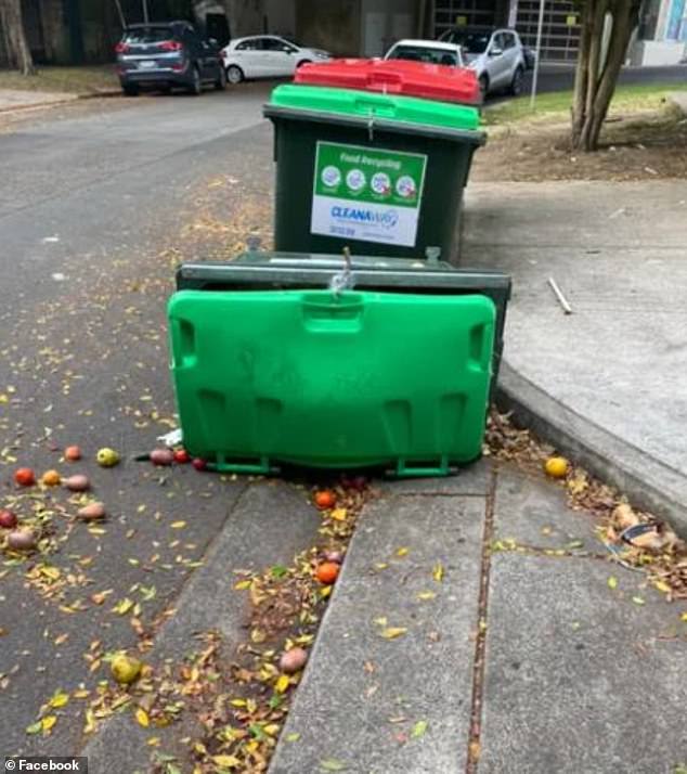 Farmer's Pick estimates that around 2.4 billion kilograms of produce is rejected each year before it leaves a farm (pictured, fresh produce left in a green bin behind a supermarket in Sydney).