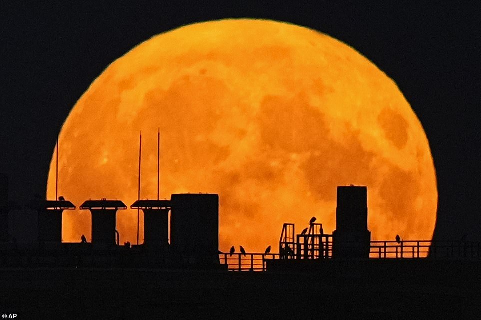 MOSCOW: A supermoon rises over a residential building in Moscow, Russia. This will be the first of four consecutive supermoons this year