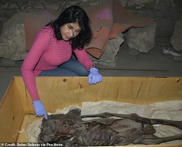 The mummy was found in 1935 in Deir Elbahari, Egypt, in the family tomb of the royal architect Senmut