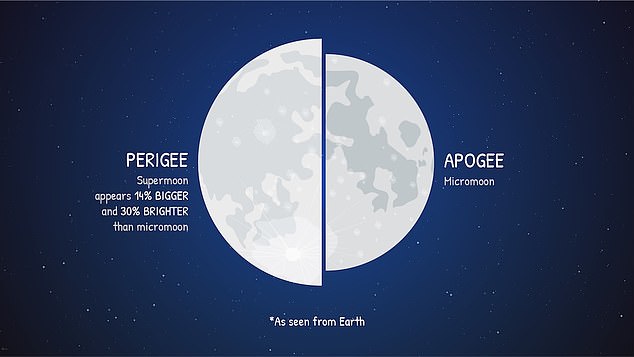 The difference is subtle, but observers on Earth can see the difference between the Moon at its closest point, or perigee, and its most distant point, or apogee