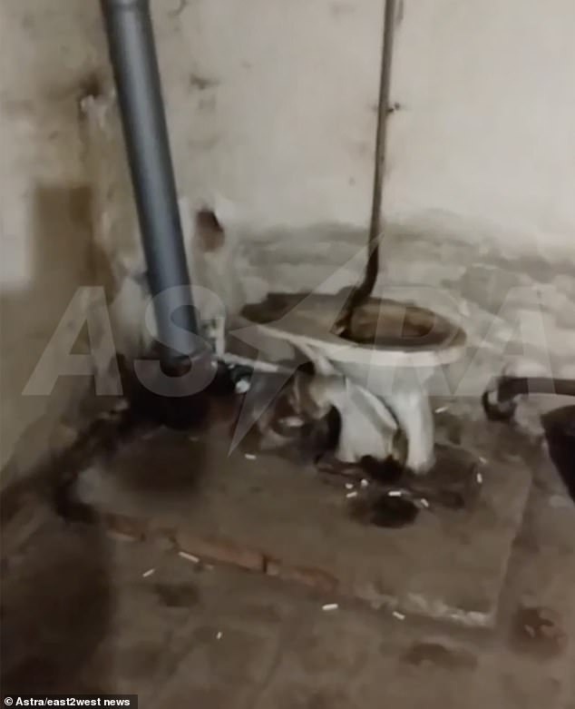 Shocking images show the interior of this factory of suffering