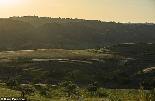 The estate has a vineyard that produces bottles of Shiraz and Cabernet Sauvignon, among other wines. Although President Joe Biden doesn't drink alcohol, first lady Jill Biden is a wine lover