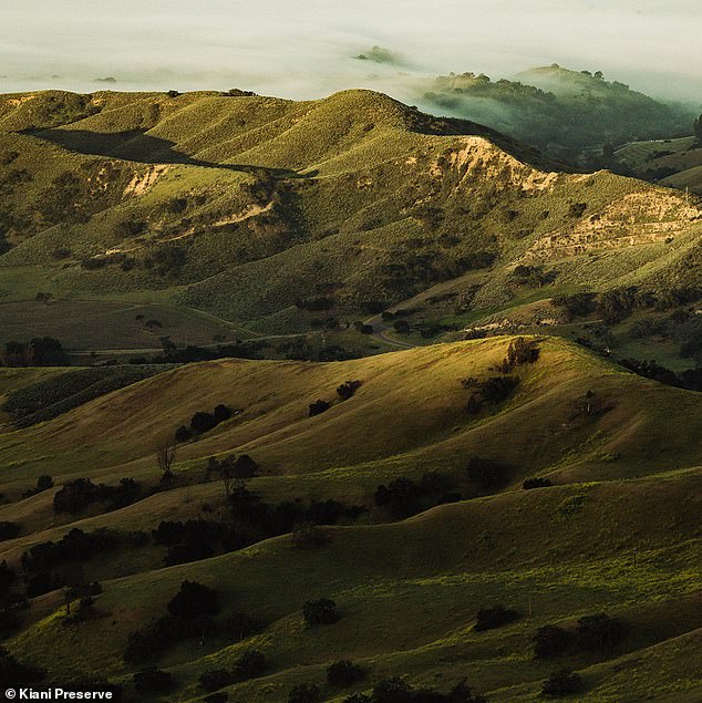 The Kiani Preserve is an 8,000-acre ranch in the Santa Ynez Valley that spans the high hills and canyons nestled in the shadow of Figueroa Mountain. Hunter Biden spent time on the lavish property last year