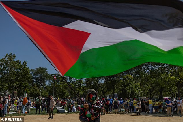 A pro-Palestinian rally on the sidelines of the Democratic National Convention