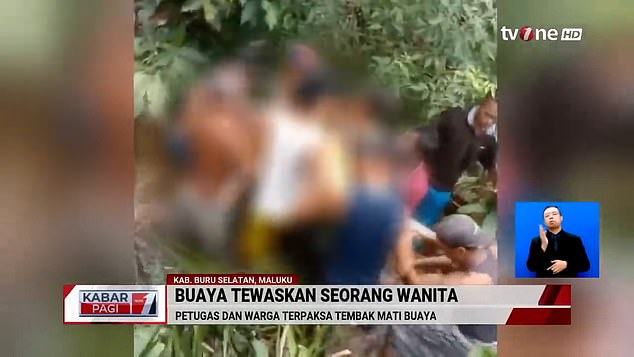 Video footage shows residents, assisted by Bursel police officers and the Indonesian National Army, pulling the crocodile out of the water