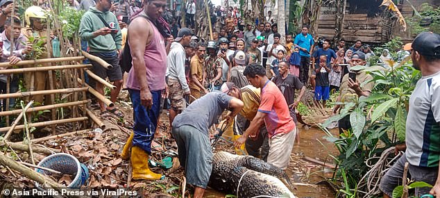 Shocked locals gather around the crocodile after hearing the news that it attacked Rahakbauw