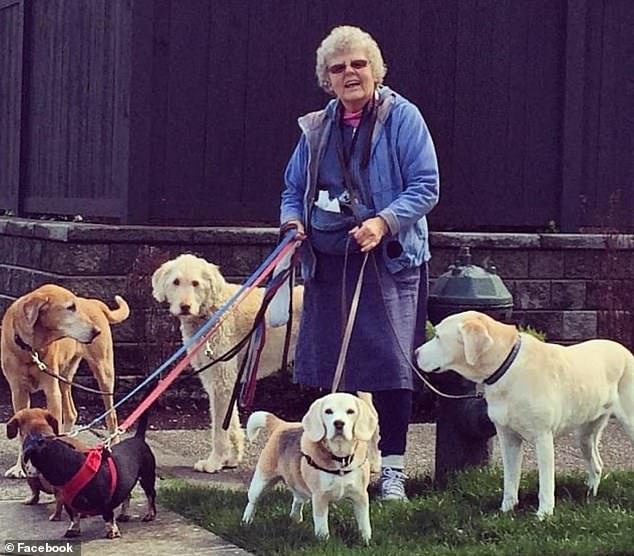 Dalton, who started her dog-walking business, Grandma's Critter Care, 35 years ago, had several dogs in her car after walking them at a park. (Pictured: an undated photo of her dog-walking business)