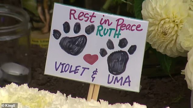 A memorial has been erected at a tree near the scene of the accident, wrapped in beautiful messages from grieving friends, family and residents in the community