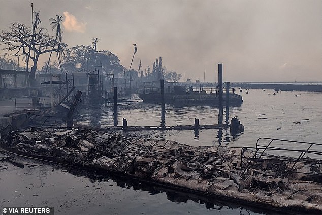 When she came outside, Diezon saw that her neighborhood had been destroyed