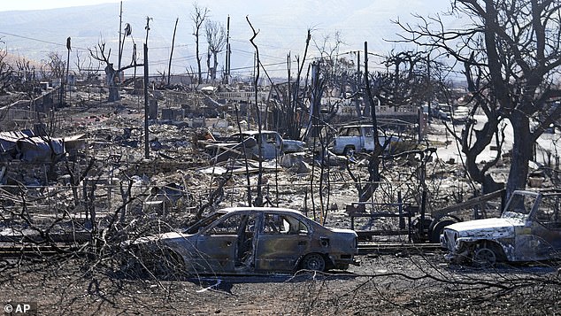 She wandered the charred streets for hours before finally encountering a police officer who took her to a hotel that had been converted into a shelter.