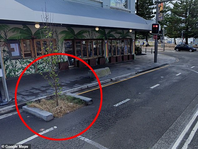 The council previously claimed that the installation of the planter (pictured left) was an important environmental initiative that contributed to the vibrancy of the area