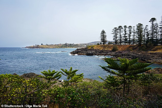 Father and son disappeared while fishing in Stormy Bay near Kiama (photo)